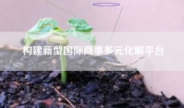 构建新型国际商事多元化解平台