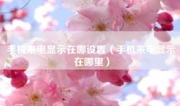 手机来电显示在哪设置（手机来电显示在哪里）