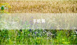 手机黄