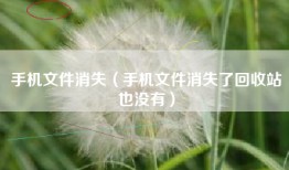 手机文件消失（手机文件消失了回收站也没有）