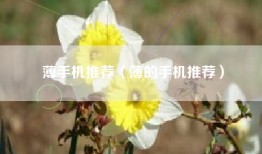 薄手机推荐（薄的手机推荐）