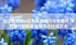 光洋股份拟10亿布局高端汽车零部件 净利增1.6倍新能源业务占比或近半