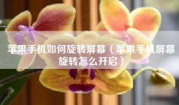 苹果手机如何旋转屏幕（苹果手机屏幕旋转怎么开启）