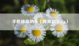 手机蜂窝助手（蜂窝助手app）