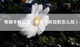 电视手机投影（电视手机投影怎么投）