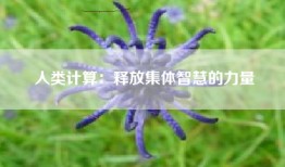 人类计算：释放集体智慧的力量