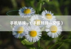 手机转换ip（手机转换iso文件）
