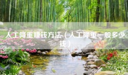人工降重赚钱方法（人工降重一般多少钱）