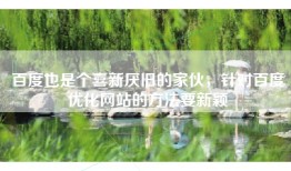百度也是个喜新厌旧的家伙，针对百度优化网站的方法要新颖