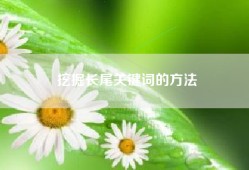 挖掘长尾关键词的方法