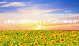 手机QQ回收站在哪（手机qq的回收站在哪）