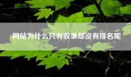 网站为什么只有收录却没有排名呢