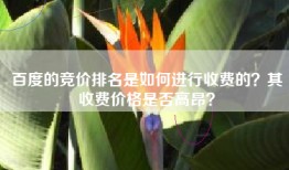 百度的竞价排名是如何进行收费的？其收费价格是否高昂？