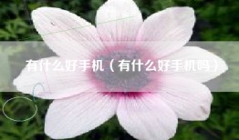 有什么好手机（有什么好手机吗）