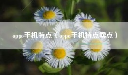 oppo手机特点（oppo手机特点卖点）