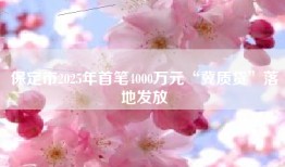 保定市2025年首笔4000万元“冀质贷”落地发放
