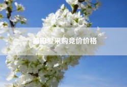 莆田爱采购竞价价格