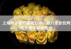 上海网站推广服务公司，助力企业在网络世界中脱颖而出