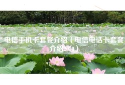 电信手机卡套餐介绍（电信电话卡套餐介绍2020）