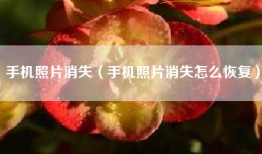 手机照片消失（手机照片消失怎么恢复）