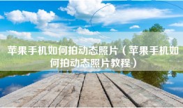 苹果手机如何拍动态照片（苹果手机如何拍动态照片教程）