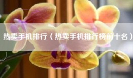 热卖手机排行（热卖手机排行榜前十名）