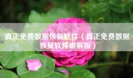 真正免费数据恢复软件（真正免费数据恢复软件破解版）
