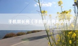 手机屏长亮（手机屏长亮怎么调）