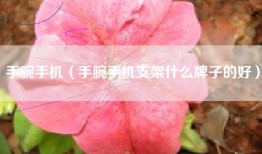 手腕手机（手腕手机支架什么牌子的好）