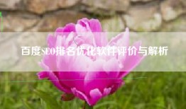 百度SEO排名优化软件评价与解析