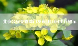 北京公安交管部门发布3月10日出行提示