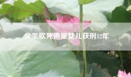 父亲砍死追星女儿获刑12年