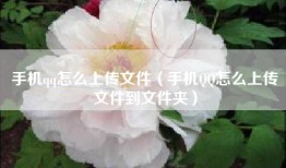手机qq怎么上传文件（手机QQ怎么上传文件到文件夹）