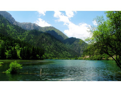 婺源乡村旅游的条件？ 乡村旅游补贴申请条件？