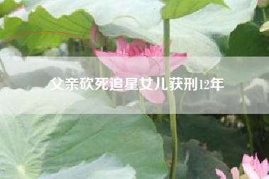 父亲砍死追星女儿获刑12年