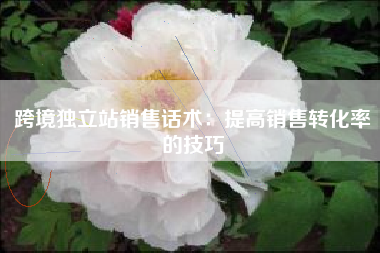 跨境独立站销售话术：提高销售转化率的技巧