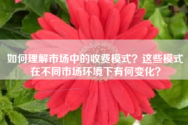 如何理解市场中的收费模式？这些模式在不同市场环境下有何变化？