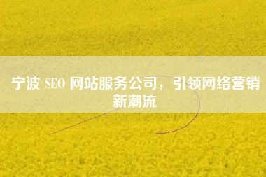 宁波 SEO 网站服务公司，引领网络营销新潮流