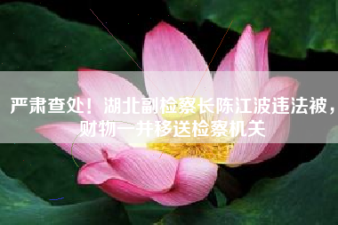 严肃查处！湖北副检察长陈江波违法被，财物一并移送检察机关