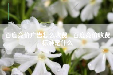 百度竞价广告怎么收费   百度竞价收费标准是什么