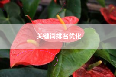 关键词排名优化
