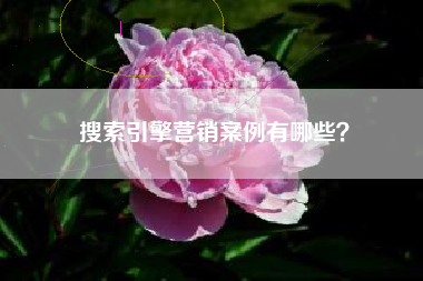 搜索引擎营销案例有哪些？