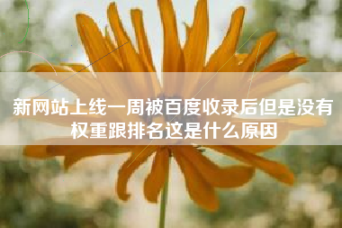 新网站上线一周被百度收录后但是没有权重跟排名这是什么原因