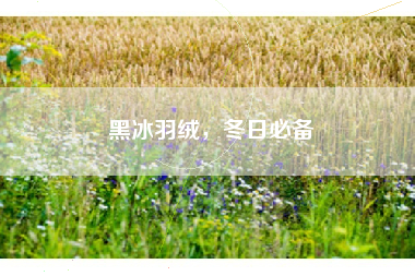 黑冰羽绒，冬日必备