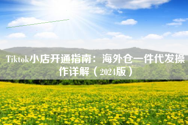 Tiktok小店开通指南：海外仓一件代发操作详解（2024版）