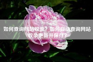 如何查询网站收录？如何自动查询网站收录更新并保存？