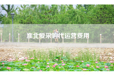 淮北爱采购代运营费用
