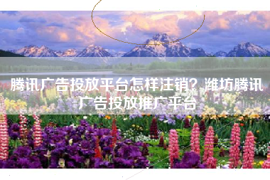 腾讯广告投放平台怎样注销？潍坊腾讯广告投放推广平台