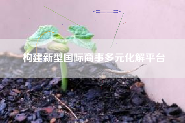 构建新型国际商事多元化解平台