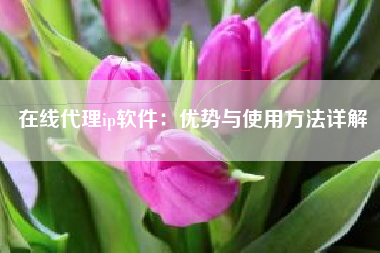 在线代理ip软件：优势与使用方法详解